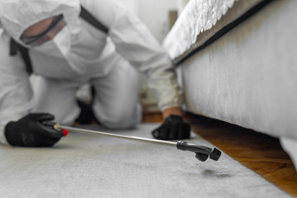 Professional Termite Control technician working in Sumter County County, FL